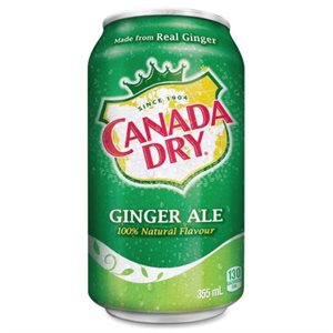 Gingerale cans 24x355 ml